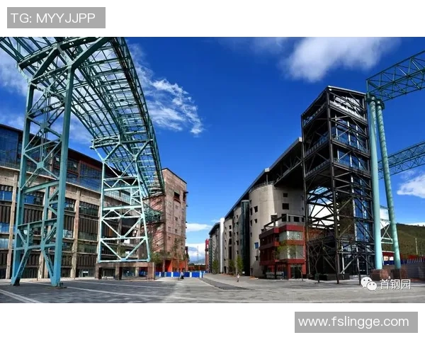 南京羽毛球队转型之路全国锦标赛特别报道展现新风貌与挑战