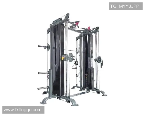 陈丽独家分享篮球心得与技巧助你提升球技的全面指南