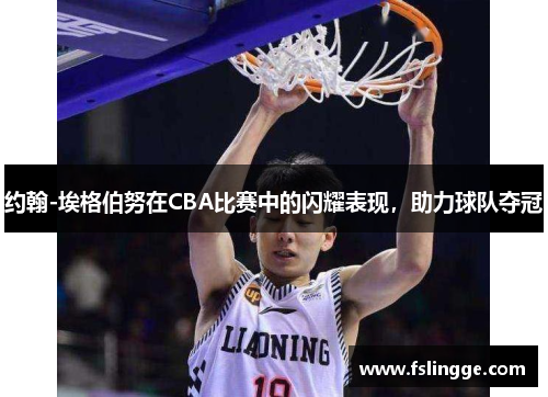 约翰-埃格伯努在CBA比赛中的闪耀表现，助力球队夺冠